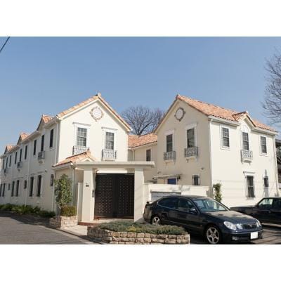 ONE TREE HILLの写真