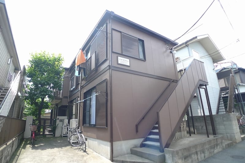 プチブラウンの写真