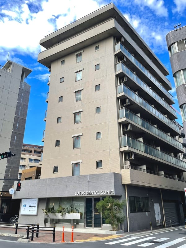 アンフォーラメグロの写真