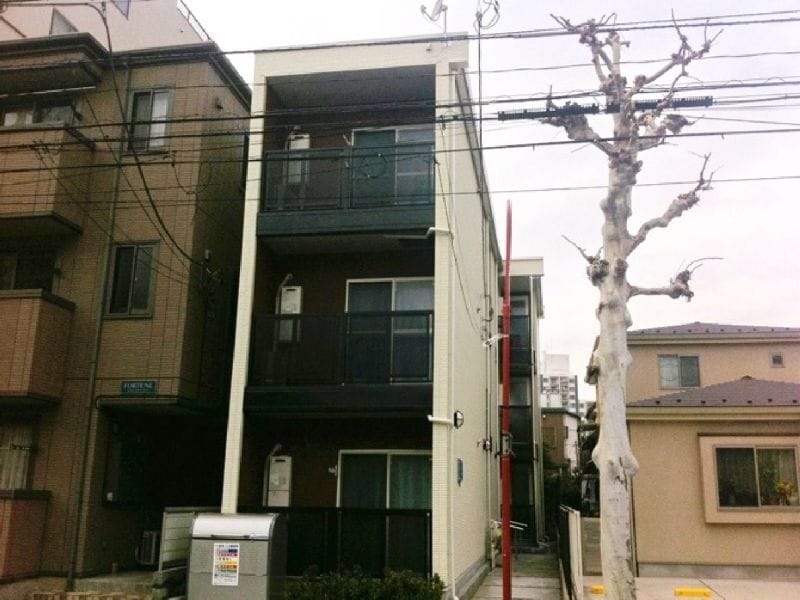 レオネクストルーチェの写真