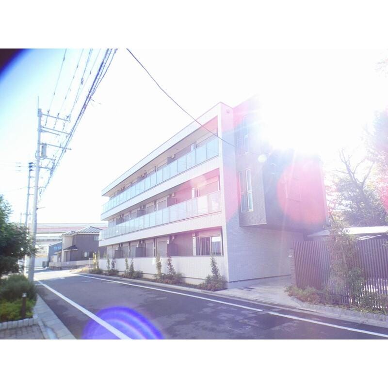 フォレスト ベベの写真