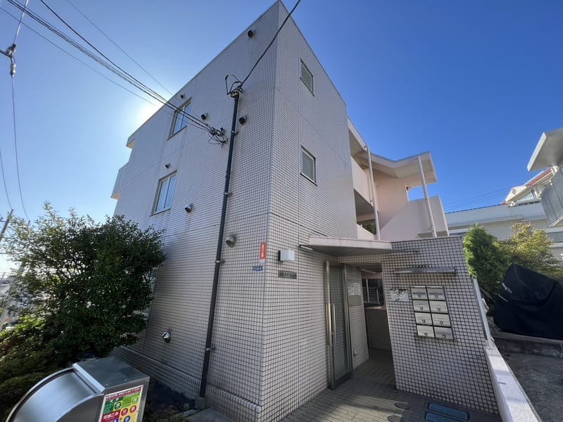 シェスタカメオの写真