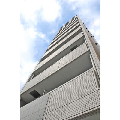 アヴィニティー両国の写真