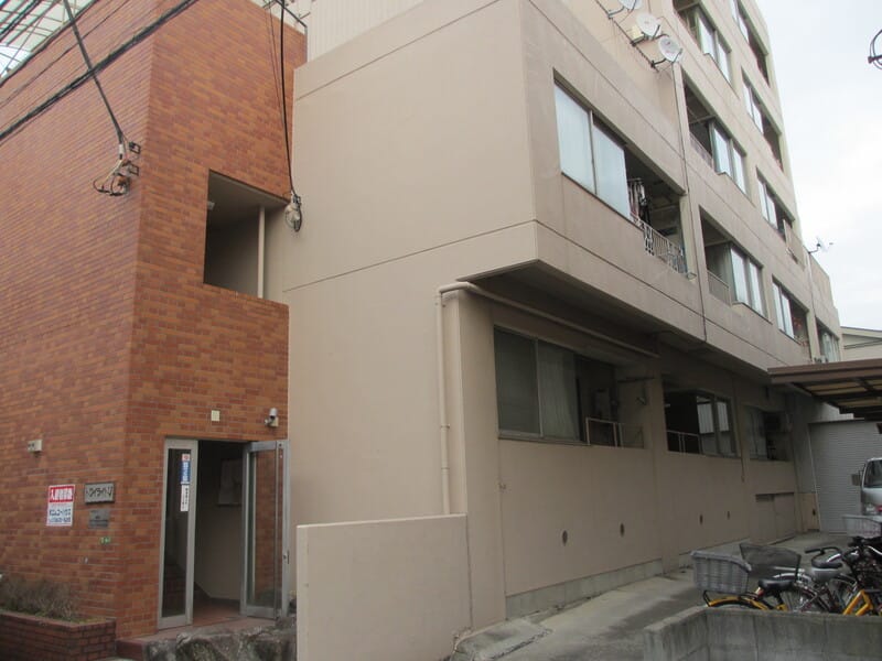 トワイライトVの写真