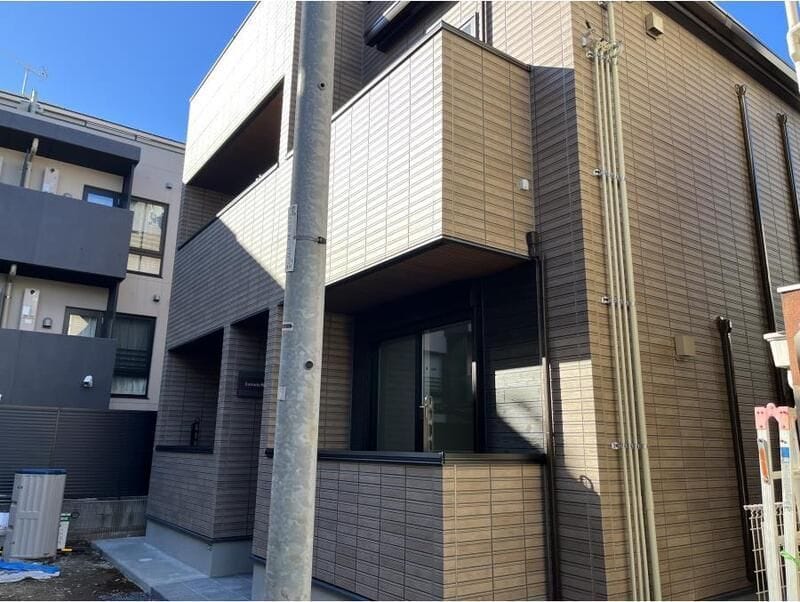Lycoris西小山 202