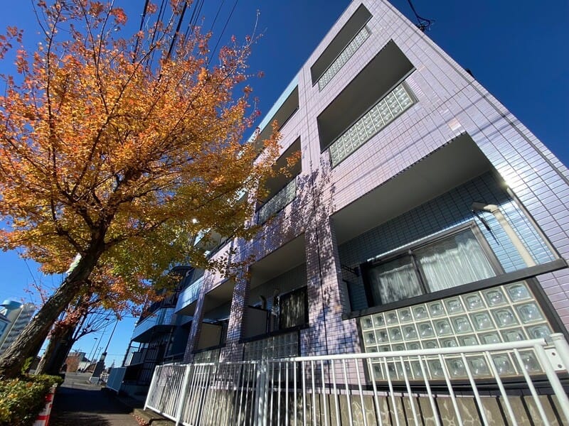 エーデルブルーメミヤタの写真