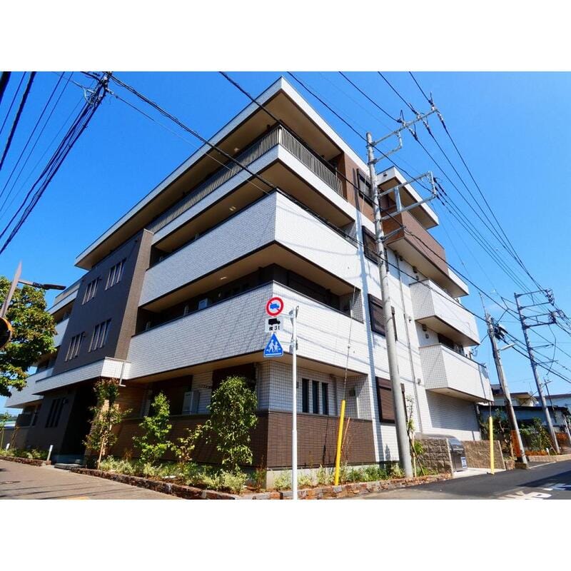 トゥインクル ヴィータの写真