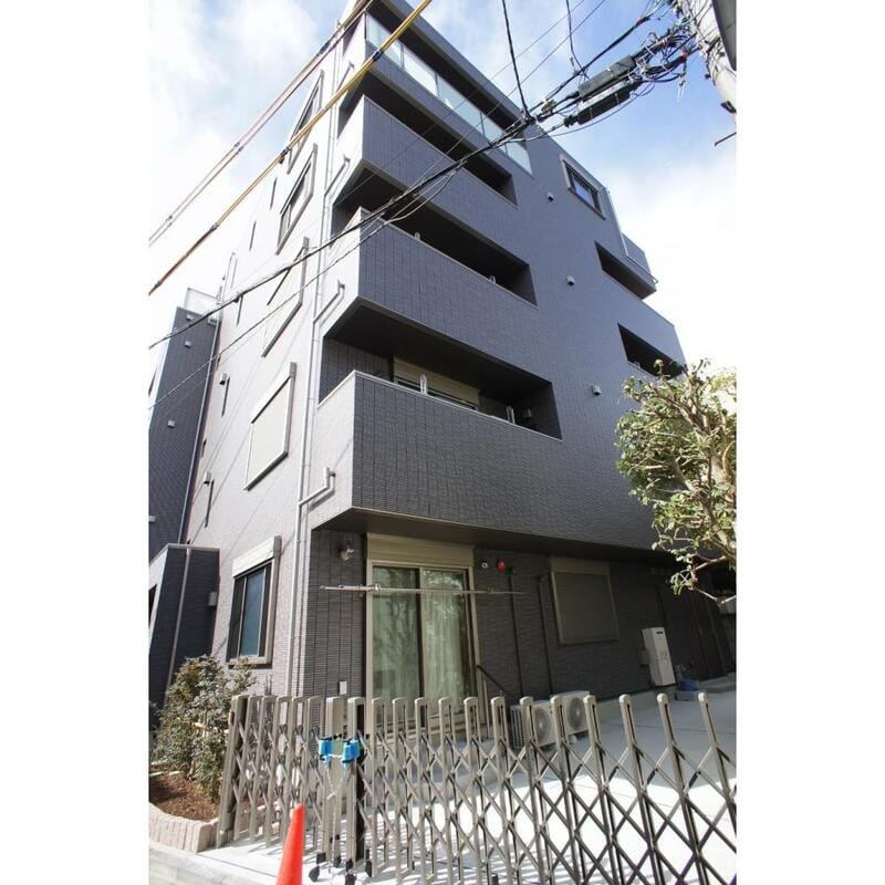 グレースの写真