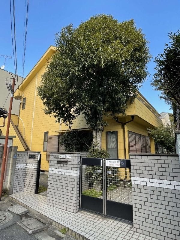 クリーンピュアの写真