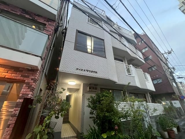 YSビスタの写真