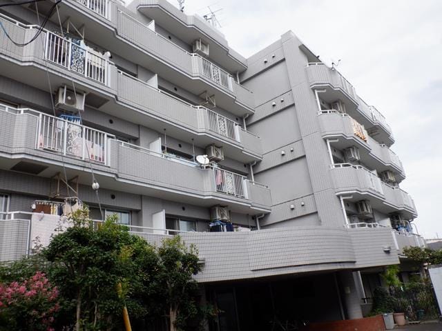 ロイヤルシーダの写真