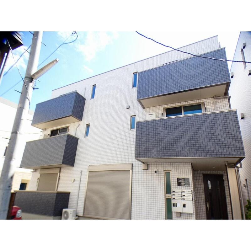 サンセベリアの写真