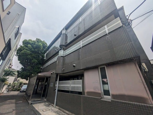 ティブロンコートの写真