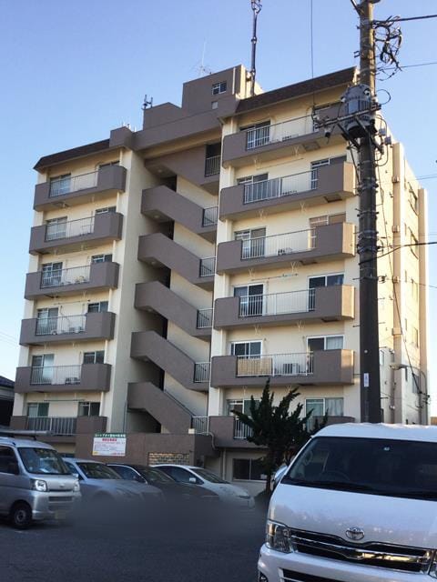 コートアオイの写真