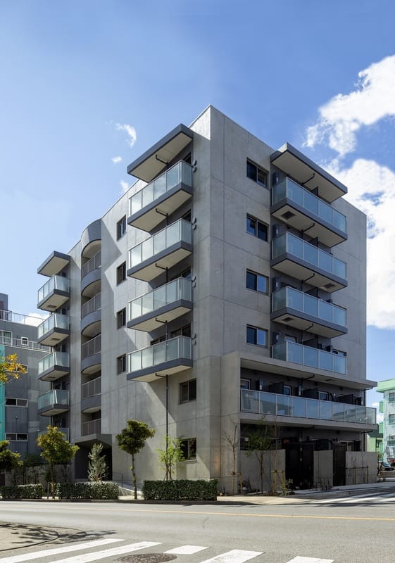 Sunny Side Forestの写真