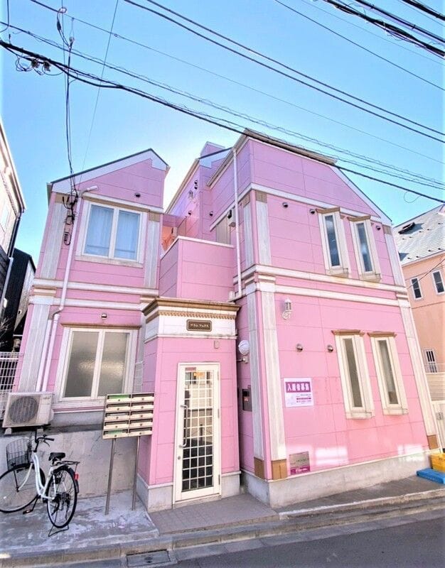 プラムフェリスの写真