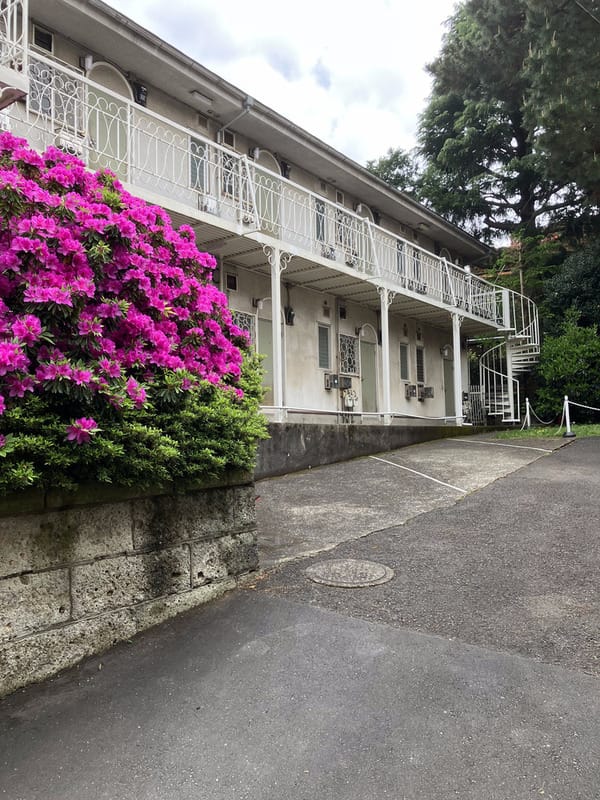 メゾンシブヤの写真