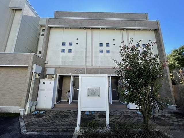 レオネクスト成宗の写真