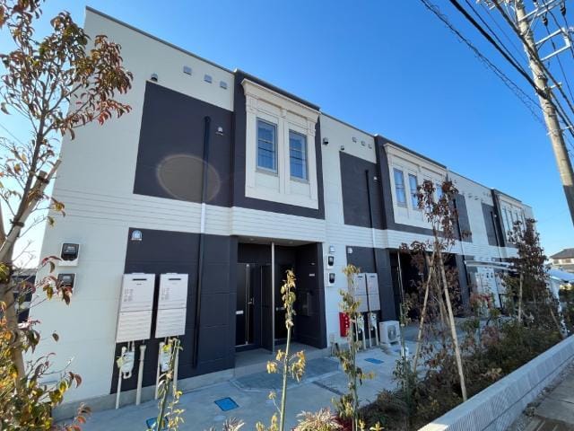 シャディの写真