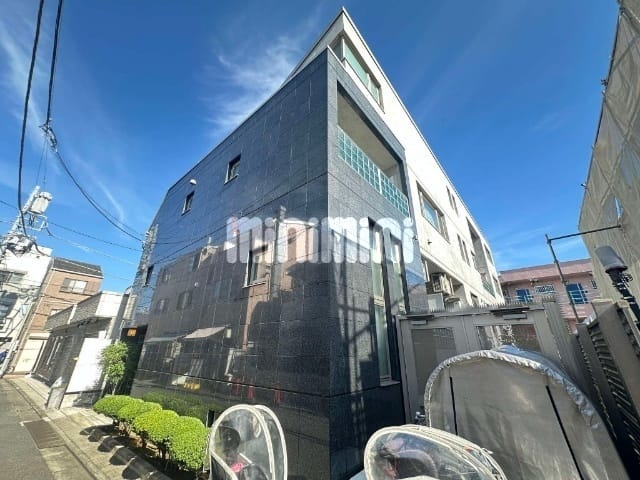 グリフォンの写真