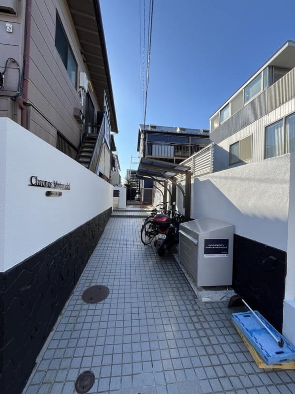 クロノス松ノ木の写真