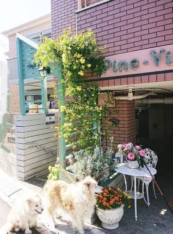 パインビレッジの写真