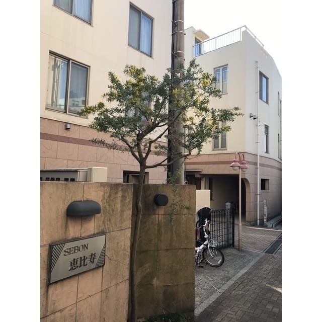 セボン恵比寿の写真