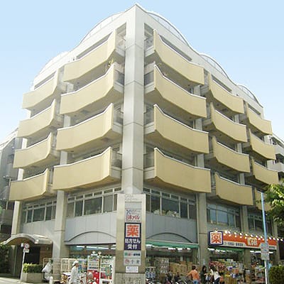 カーサクロヤナギの写真