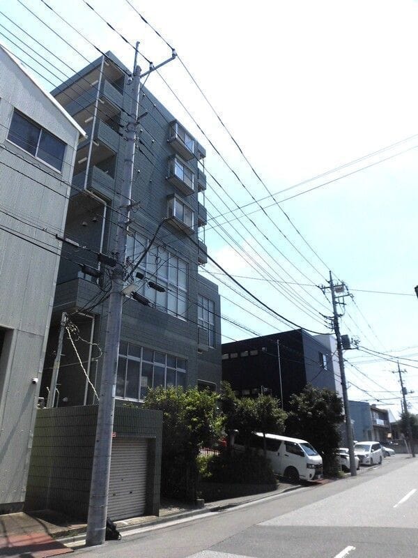 オリーブ 504
