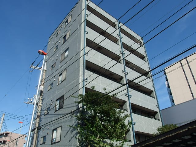 エバーグリーンの写真