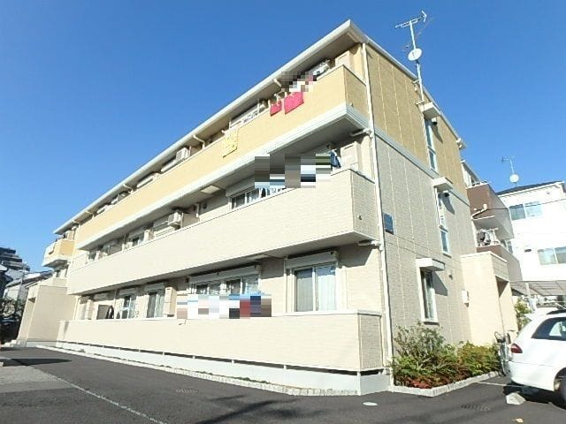 オレンジの写真