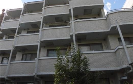 センチュリー学芸大の写真