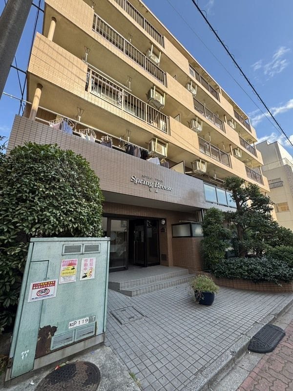 スプリングブリーズの写真