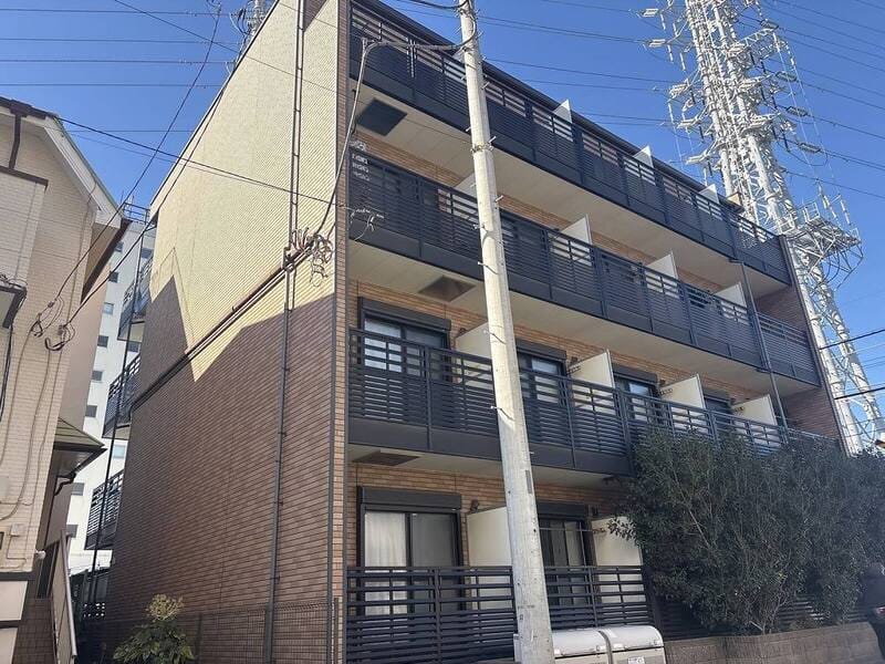 レオネクスト煌めきの写真