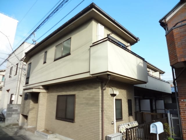 パルナシウスの写真