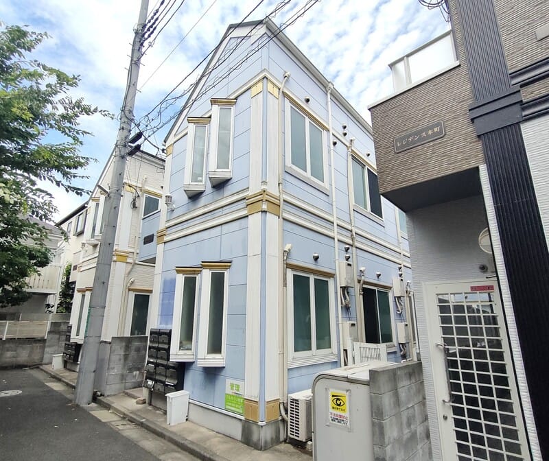 フェリスジェミニの写真