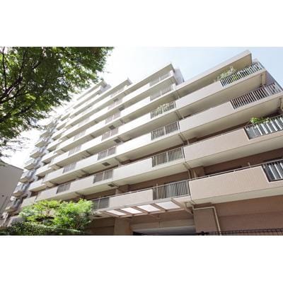 ラフィーネ阿佐谷の写真