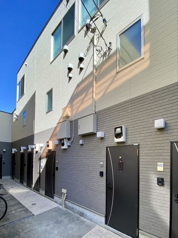 Lupinus王子の写真