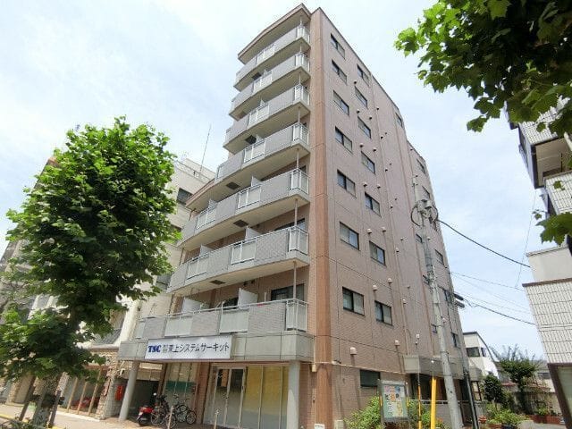 ハイグレード椿の写真