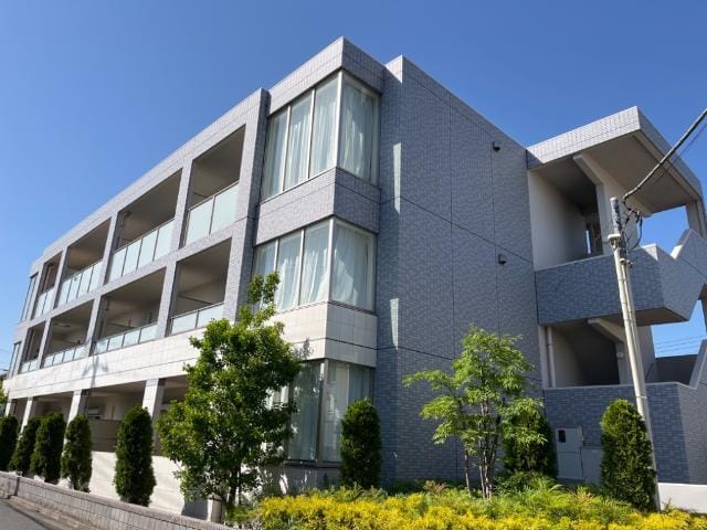 アムール・ゼルコバの写真