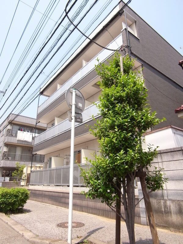 リブリ・ウィステリアの写真