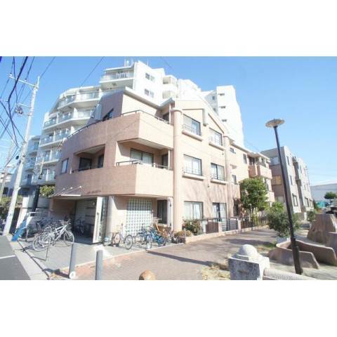 パレロワイアルの写真