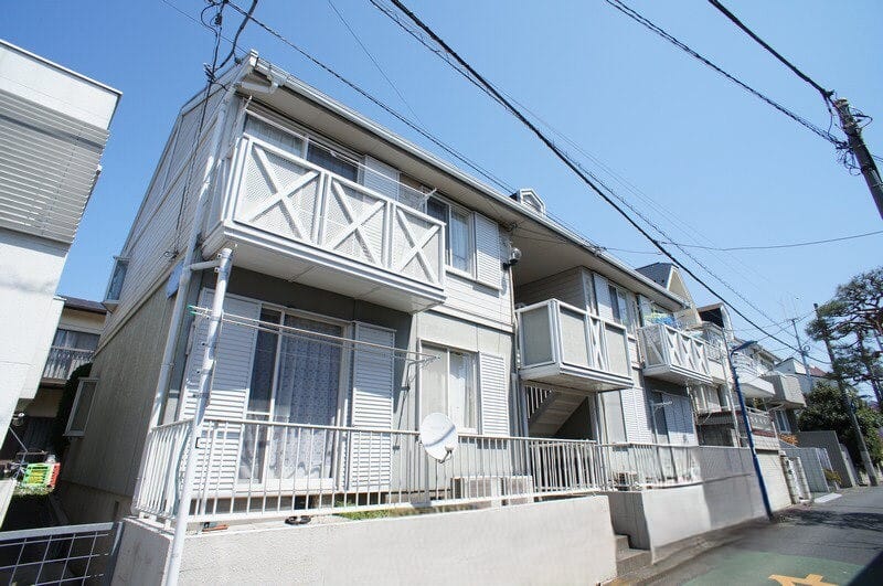 シェモアの写真