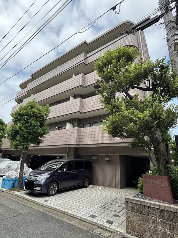 リンデンバームの写真