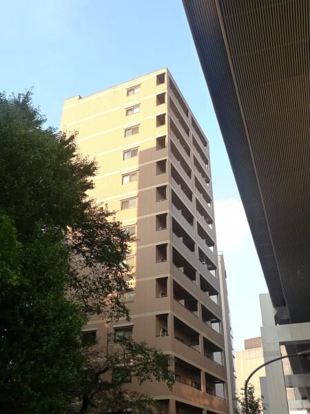 ソリッド大橋の写真