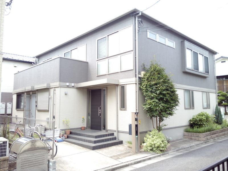 プリムローズの写真