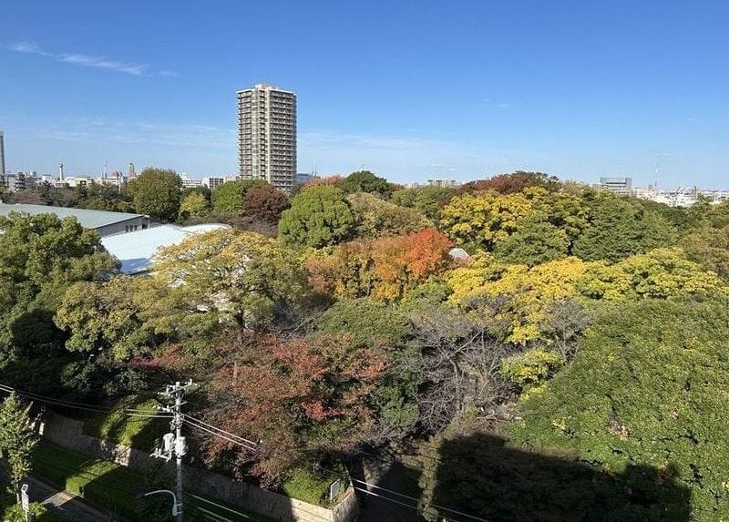 Weave Base -Asukayama Park 飛鳥山公園の写真