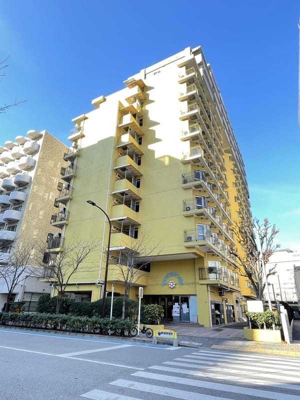 東京ベイビュウの写真