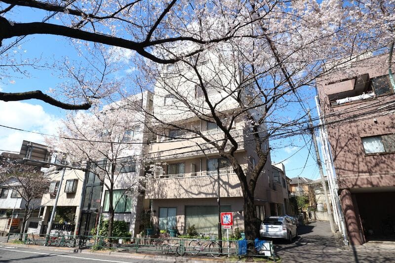 シャトー白馬の写真