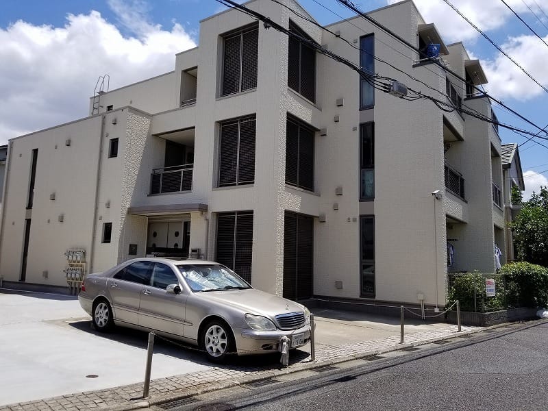 パウロニア99の写真